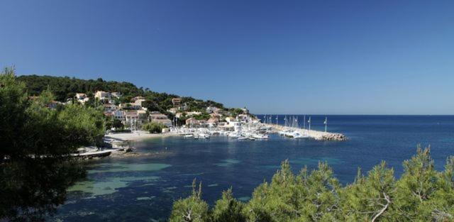 Le Clos Du Bonheur Le Pradet Εξωτερικό φωτογραφία